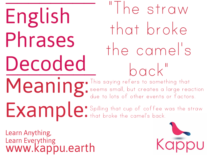 English Phrases Decoded #8